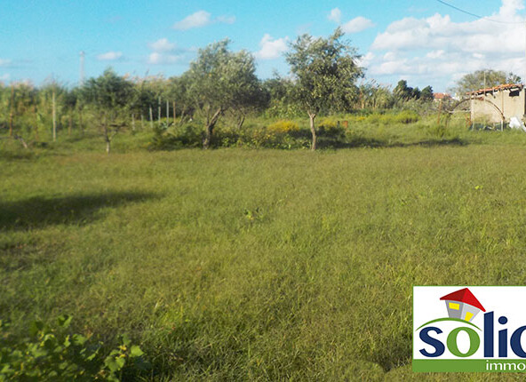 terreno agricolo dettaglio con magazzino attrezzi