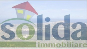 Solida immobiliare logo articolo